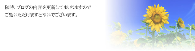 随時、新着情報を随時更新してまいりますのでご覧いただけますと幸いでございます。