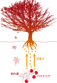 bio_tree